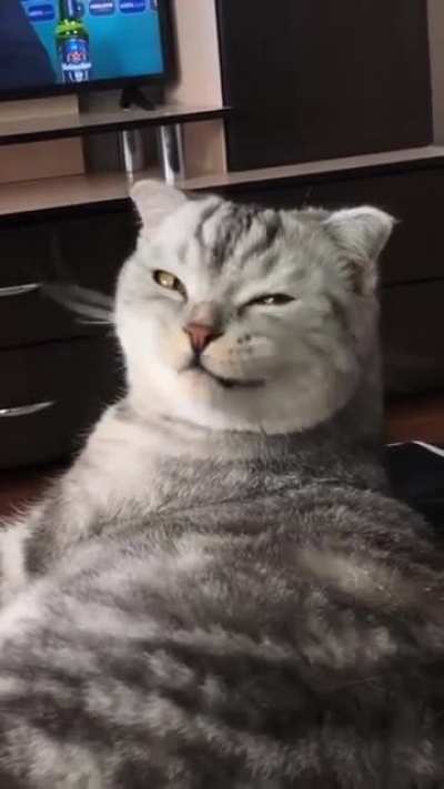 me_irl