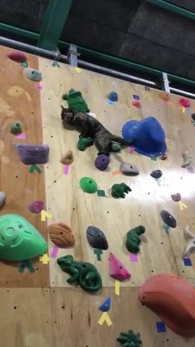 Rock climeower