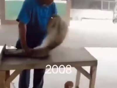 monkey evolution