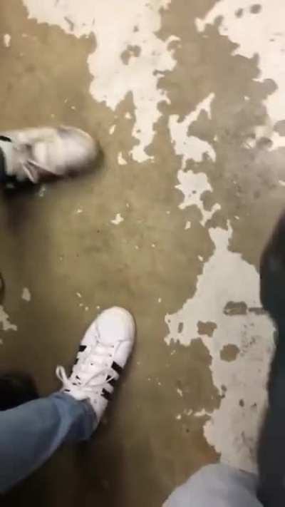Lil nigga woke up choosing violence