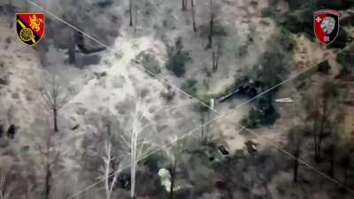 Swedish "Archer" self-propelled guns destroyed 3 Russian D-20 howitzers and enemy personnel with counter-battery fire.
