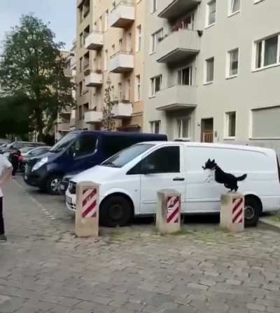 Fast Boi.