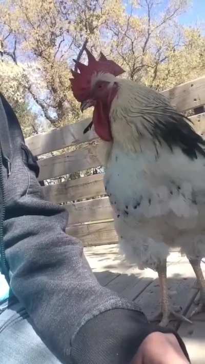 "Excuse me? Did I say you were done?"