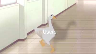 discord_irl