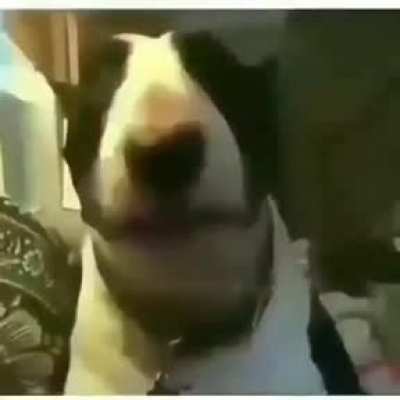 😳