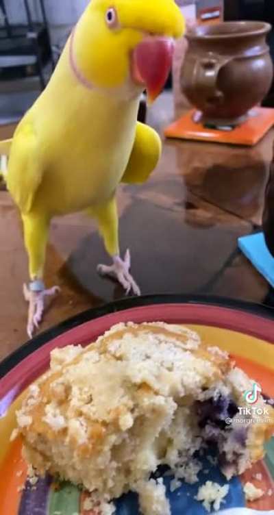 Just a tiny piece won&rsquo;t hurt anyone!