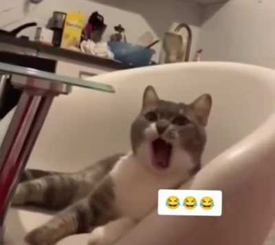 Don't tell me you didn't yawn.