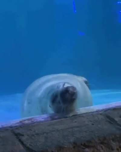 Sinking Unit
