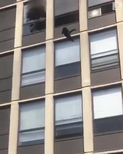 EIGHT LIVES LEFT: Footage shared by Chicago firefighters shows a cat leaping out the 5th floor window of a burning apartment building&mdash;and then walking away unscathed. No injuries were reported in the blaze.