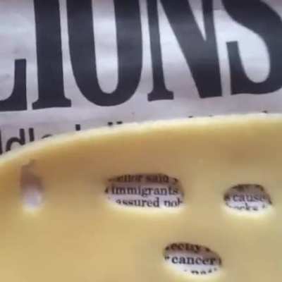 cheese