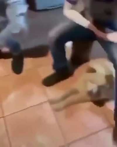 Dont know if this has been posted before but it's still legendary.