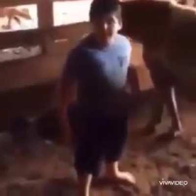 Esse a&iacute; &eacute; maxor