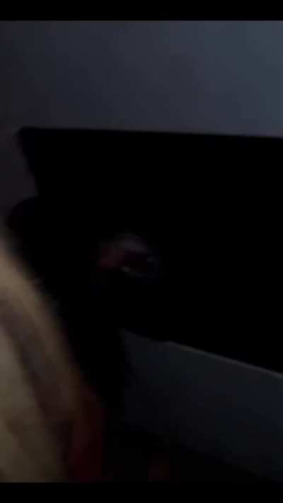 In one Gloryhole in one swing club with my big cock and big ass transex friend