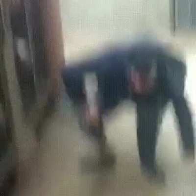 Idiot kicking dog in a cage