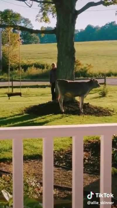 🐮 Everyone needs a Grass Puppy
