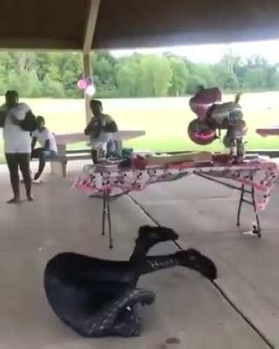 HMFT after I realise I&rsquo;m not Spider-Man