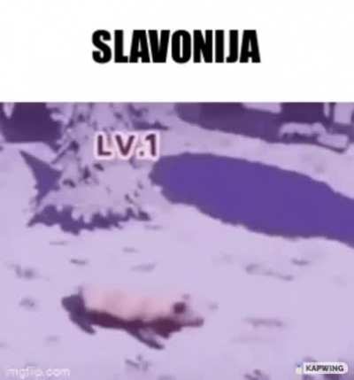 Petrokemija