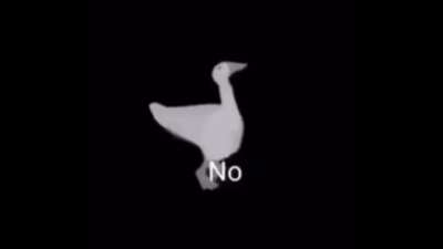 n0