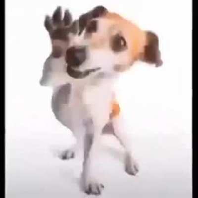 😍