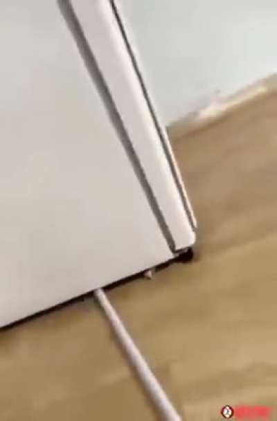 Wet mop vs fridge