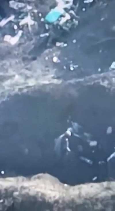 "Madyar birds" destroy russian positions in Donetsk region(most interesting part on 2 last minutes)