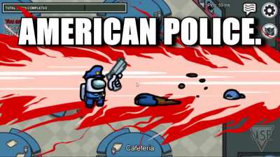 AMERICAN POLICE.