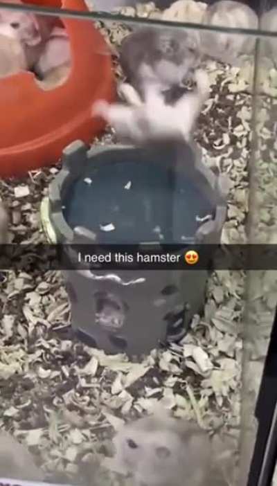 Talented wunker