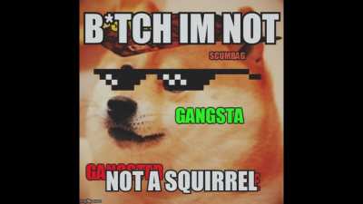 SHUT UP WE ARE NOT SQURREL!!! 💢😡😡😡