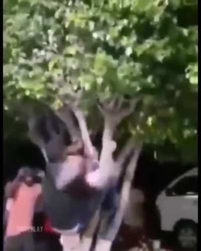 Este cabron se quer&iacute;a culiar el &aacute;rbol