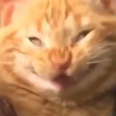 :)