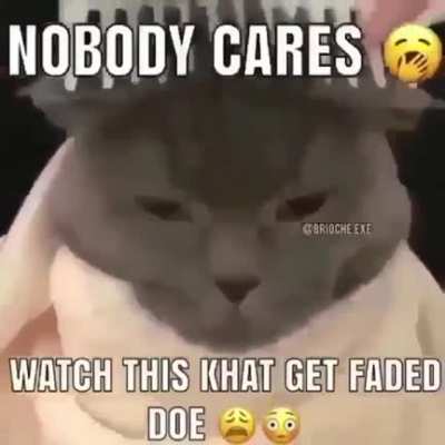 Da cat fadez