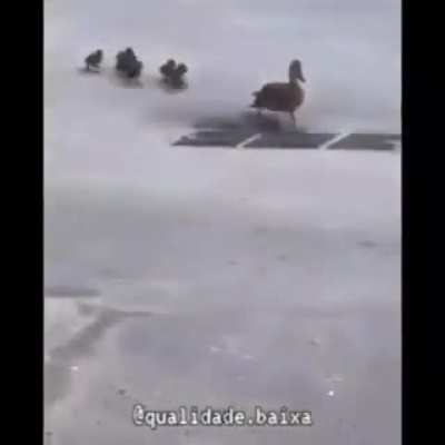 QI negativo