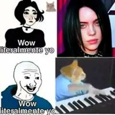 GATO PIANO :D