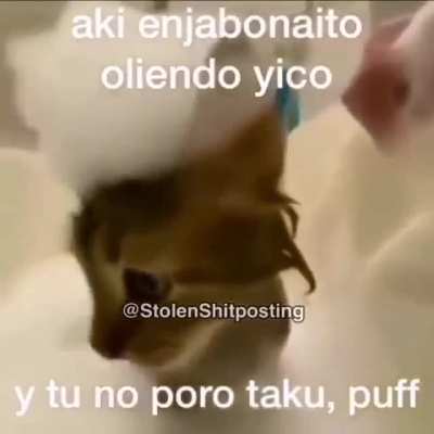 Hola buenas tardes 🤝