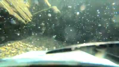 Driving on thin ice..