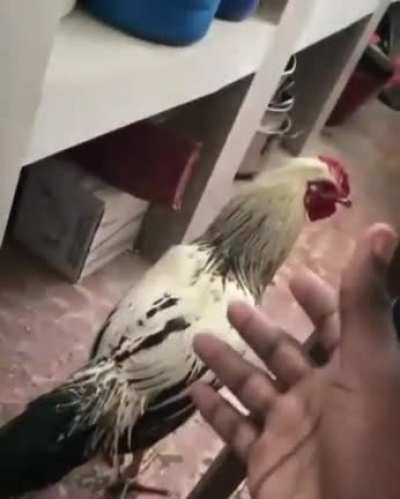 S&eacute;rgio 😭😭