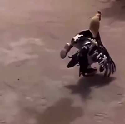 he fresh as f**k (fuck)🤬😳😳🤯😱