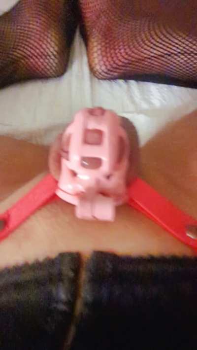 Plapping the night away might be my new favorite way to cum