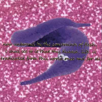 worm