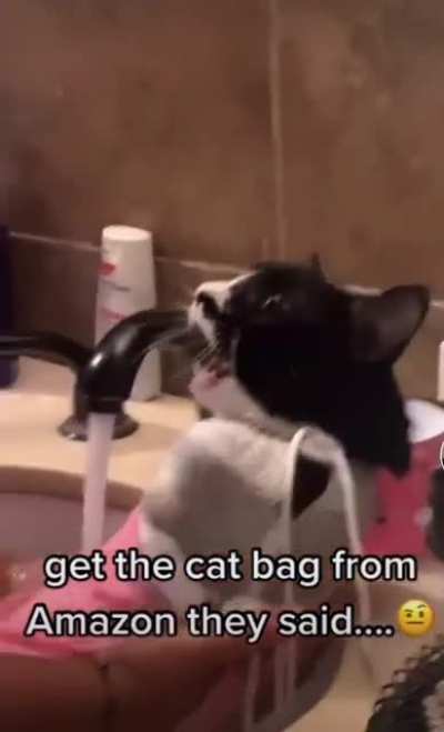That&rsquo;s a loud cat