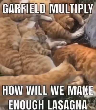 blursed_garfields