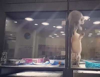 Found i r/aww