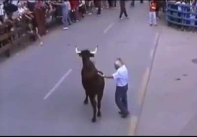 Dude wins bull&rsquo;s trust