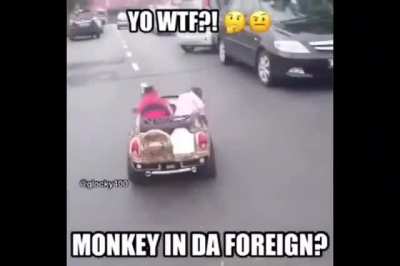 Wtf?!