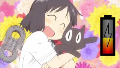 Sakamoto best cat