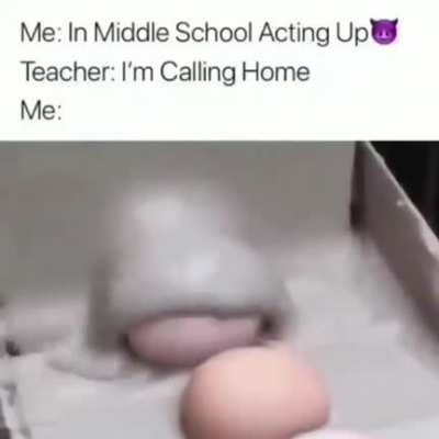 THE TEACHER
