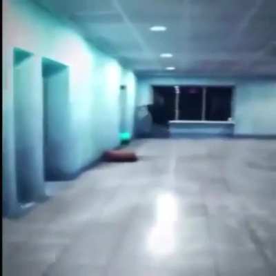 Cursed_Umbrella