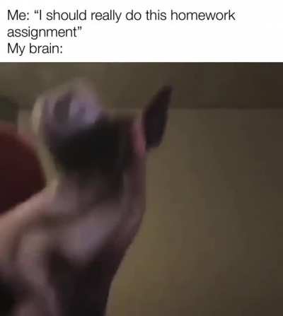 Me_irl