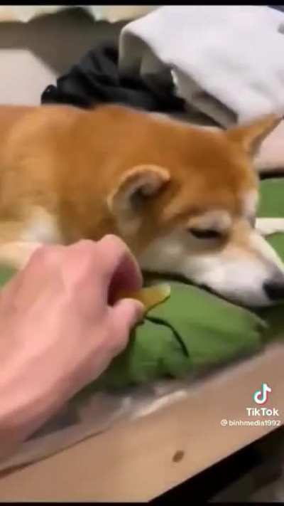 😂