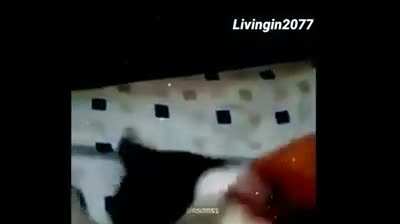 Princesito